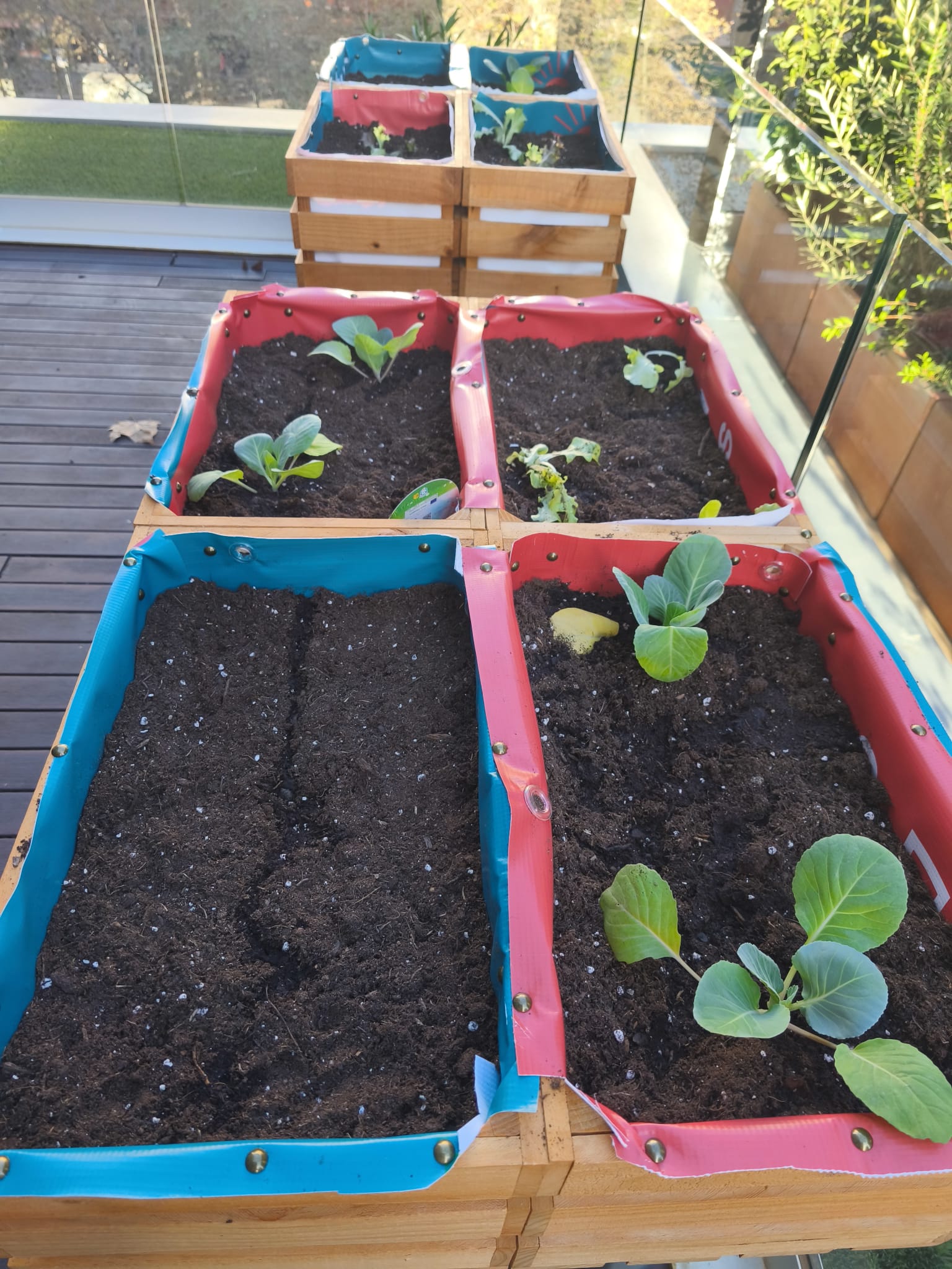 Imatge pels mitjans: Construcció d&#39;un hort urbà