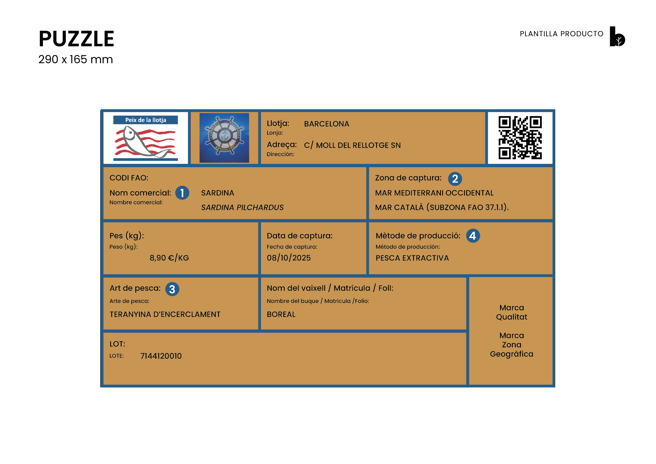 Imatge pels mitjans: Peix, d&#39;on vens?