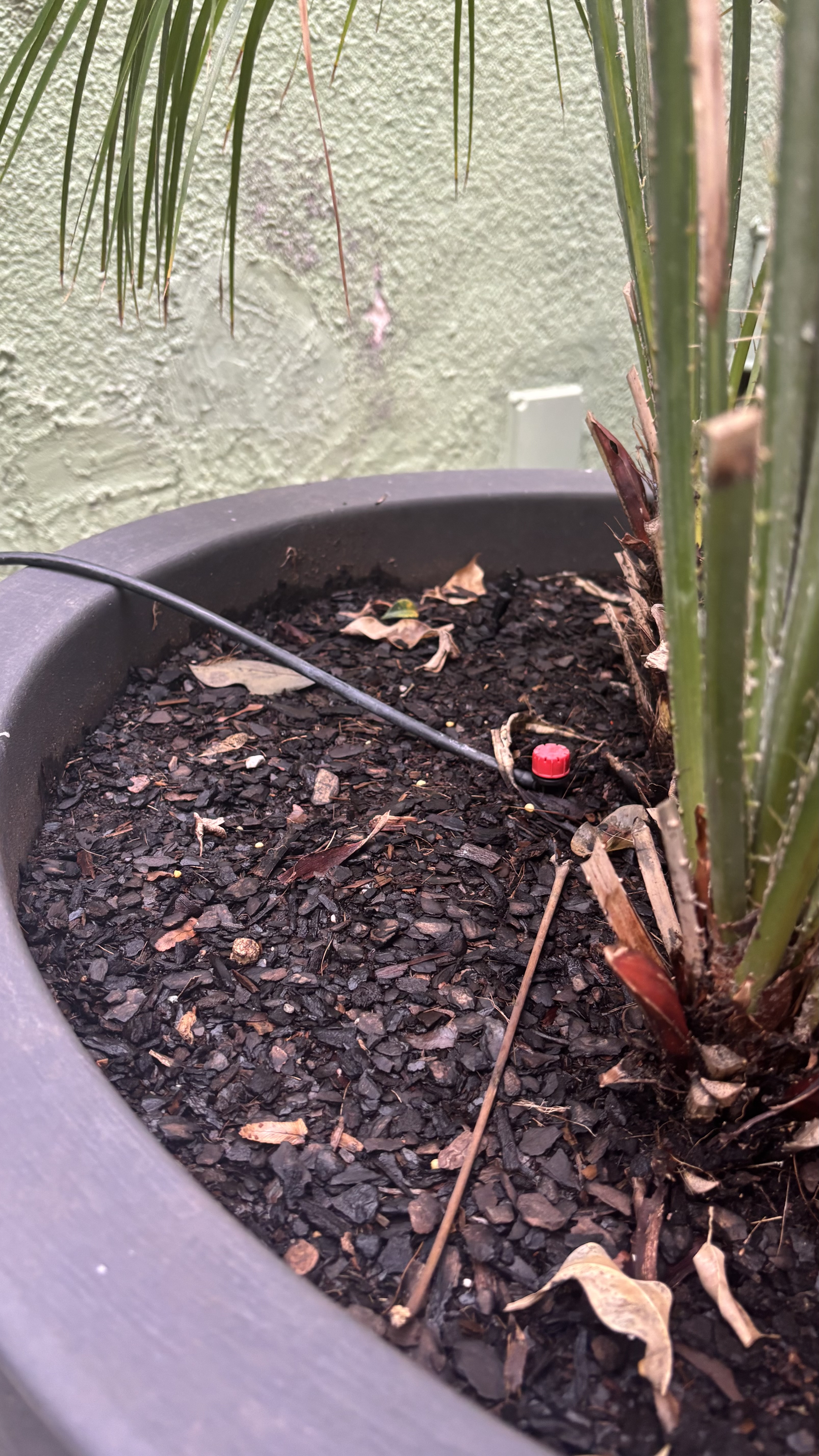 Imatge pels mitjans: Rec gota a gota 