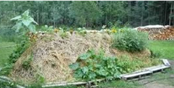 Imatge pels mitjans: Coneixes el hügelkultur?