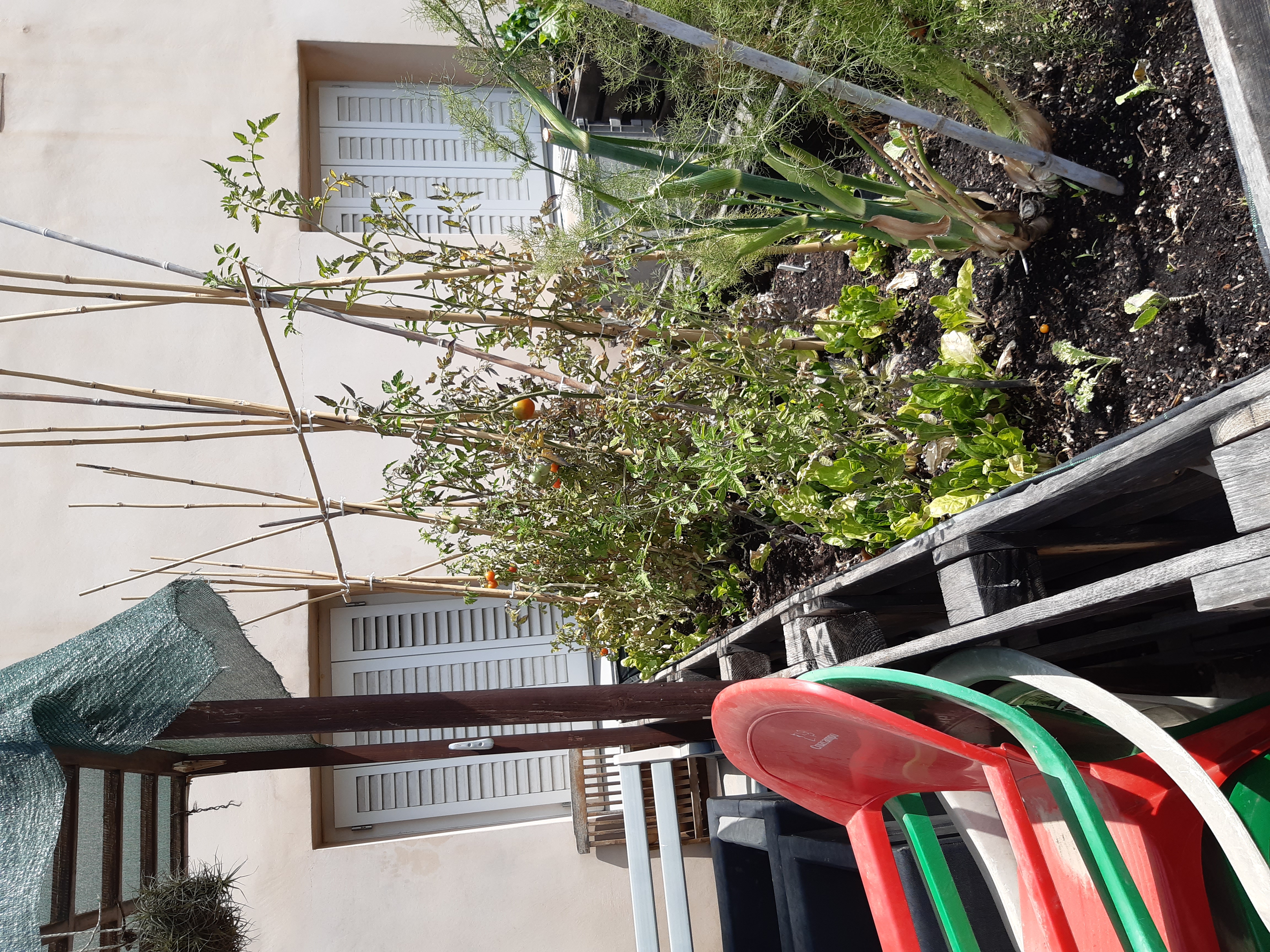 Imatge pels mitjans: Hort urbà del Mas Guinardó: Beneficis d&#39;un entorn verd