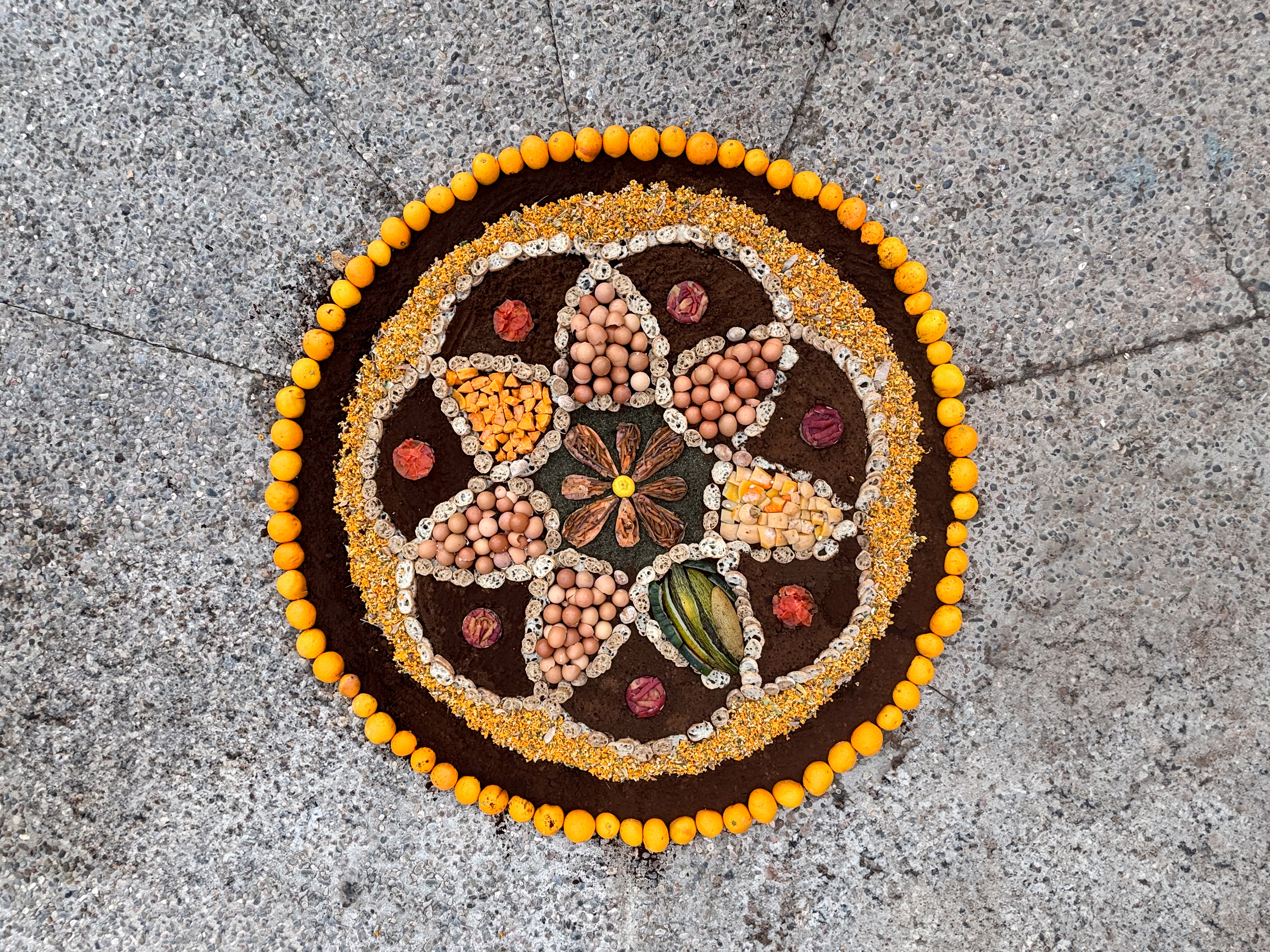 Imatge pels mitjans: RECICLART - Alfombra hecha con residuos orgánicos