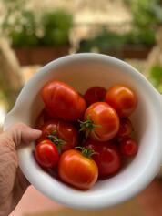 WhatsApp Ima...at 22.06.26.jpeg