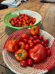 WhatsApp Ima...at 09.22.19.jpeg