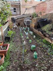 WhatsApp Ima...at 22.04.25.jpeg