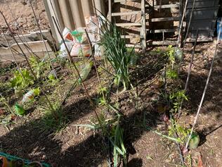 WhatsApp Ima...at 22.07.12.jpeg