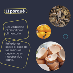 Catifa resid...de estudio_2.png