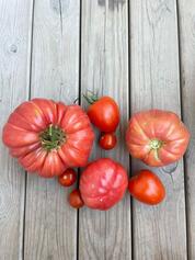 WhatsApp Ima...at 09.21.29.jpeg