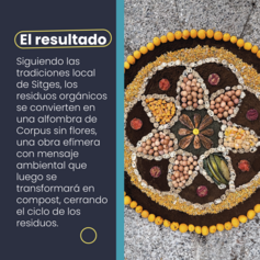 Catifa resid...de estudio_4.png