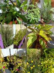 Imagen de Wh....47_91ab4208.jpg