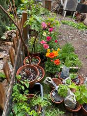 WhatsApp Ima...at 22.07.31.jpeg